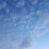昨日の夕方の雲…の画像