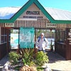 一年振りにバンタヤン島マングローブ保護地区を訪れたの画像