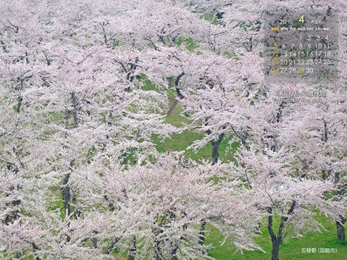 北海道の壁紙カレンダー15年4月 五稜郭 函館市 北国からの贈り物のブログ