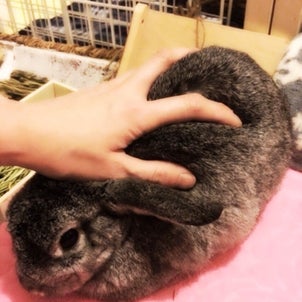 こころという 不思議の画像