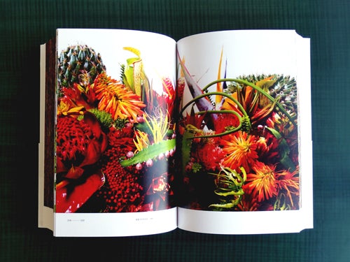 待望の続編 Encyclopedia Of Flowers 植物図鑑 印刷職人のしごとば