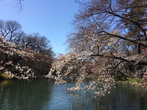 ひさーしぶりの記事画像