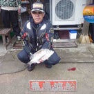 『第１１回幕島杯チヌ釣り大会』の記事より