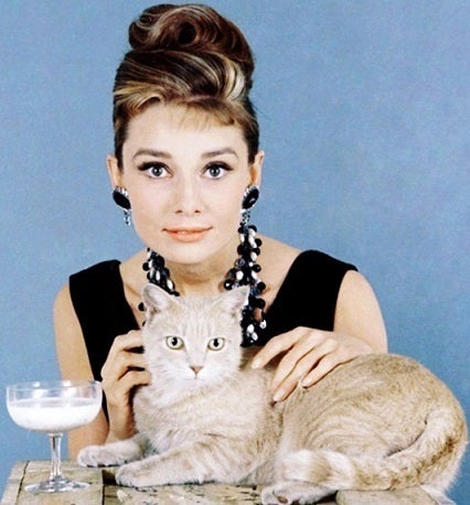 Audrey Hepburnオードリーヘップバーン猫 Moon River Paris Japon Kokoの美しいもので美しくなるブログ