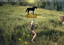 馬の捕獲についてをご紹介 Official jpのブログ