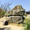 鳥取砂丘2画像貼り忘れの画像