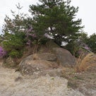 越木岩神社の磐座群が破壊されようとしています。の記事より
