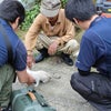 【ＳＯＳ】収容猫を即日 100% 殺処分している高知県小動物管理センターの、その後の画像