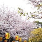 今年の泉岳寺、春の義士祭。（画像多し）の記事より