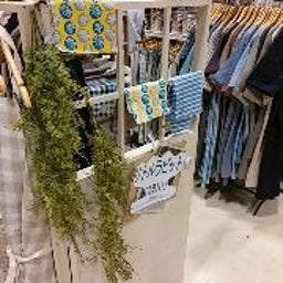 画像 今日は月寒グリーンドーム の記事より 1つ目