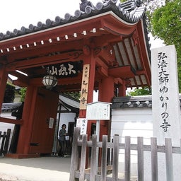 2015乙訓寺の牡丹１