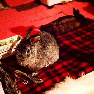 分からないときにはの画像