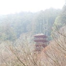 奈良県★国宝 長谷寺の長い登廊は圧巻＆五重塔★2015年の記事より