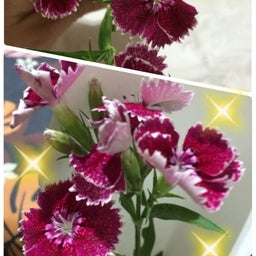画像 まだだけど の記事より