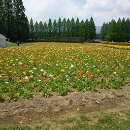 画像 季節の変わり目は体調管理を第一に！ の記事より 4つ目
