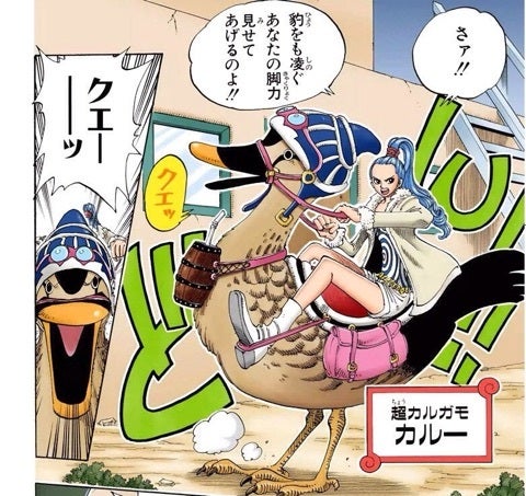 きよの漫画考察日記3 One Piece第13巻 きよの漫画考察日記