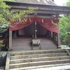 レポ  熊野三山の奥の院 玉置神社  ダブル仙人さんと NO 2の画像