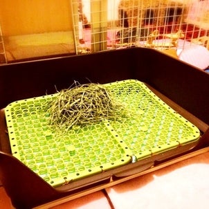 もっと 内側の何かの画像