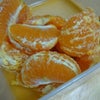 タロッコオレンジなまろんU^ェ^Uの画像