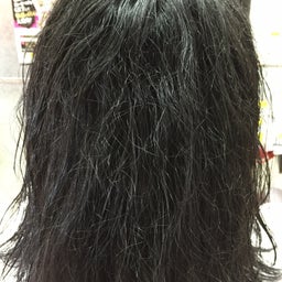 画像 気をつけなはれ・・・ の記事より 5つ目