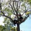 木登りJKの画像