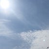 おはようございます‼︎の画像