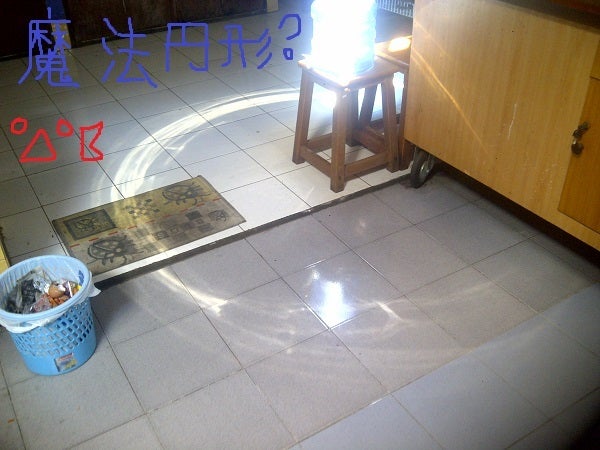 木漏れ日の記事画像