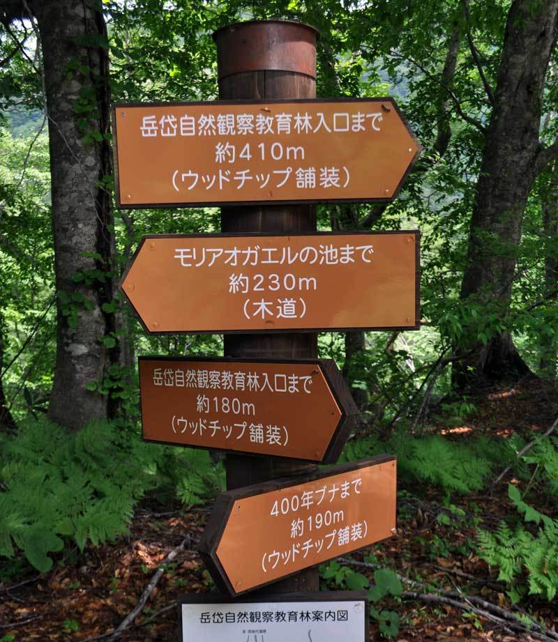 岳岱の標識