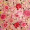 薔薇風呂の画像