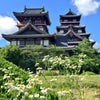 お城ではない「伏見桃山城」の現実 @京都の画像