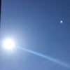 いい天気です☀️☀️の画像