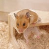 すっきり♪の画像