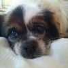 6/7(日)…どんです。。。の画像