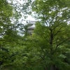 岩瀨文庫、西尾城、一色うなぎの画像