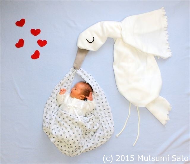 菊 監督する 栄光の 赤ちゃん 1 ヶ月 写真 アート 櫛 排他的 中で