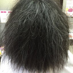 画像 殿堂入り の記事より 1つ目