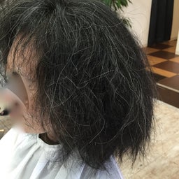 画像 殿堂入り の記事より 3つ目