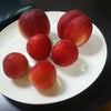 韓国の果物が美味い件の画像