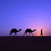 サハラ砂漠の画像