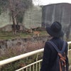 yu-yaさんと一緒に動物園の画像
