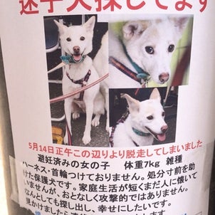 胸水治療 40日目  想う仲に 鼻さすなの画像