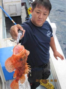 ２０１５年６月３０日の釣果 オニカサゴ オニオコゼ 釣り 徳島県南の釣り船 第八源洋丸のblog