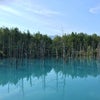 北海道観光 ③美瑛白金青い池から洞爺湖、定山渓温泉への画像