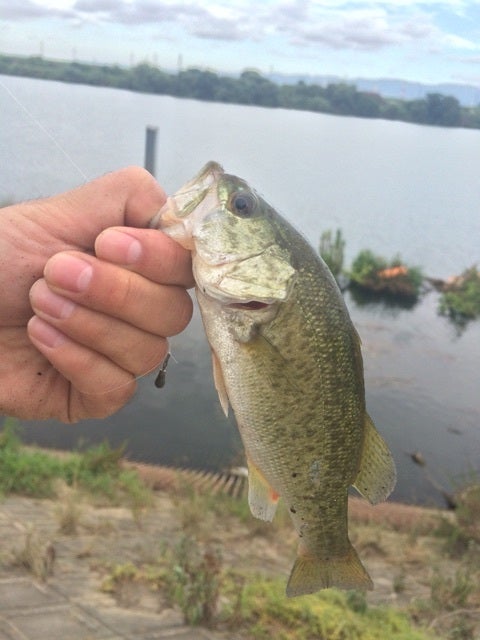 {C3EEDF8F-D148-4B3B-BCA3-D7A7062A5B12:01}