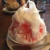 デルベアのカキ氷 in 山食堂の画像