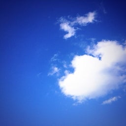 画像 はじめました の記事より