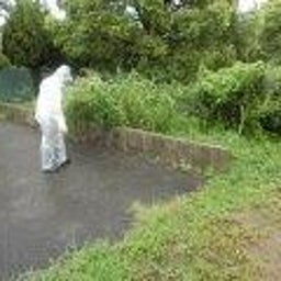画像 福栄町緑地の清掃 の記事より 2つ目