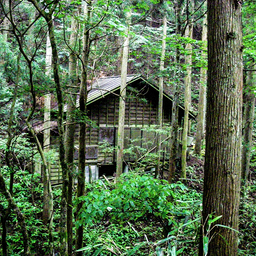 画像 気配すらなく姿も見せず… の記事より 6つ目