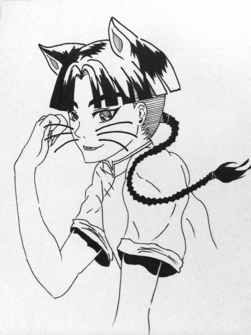 今日は・・・の記事画像