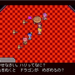 ドラゴン。。